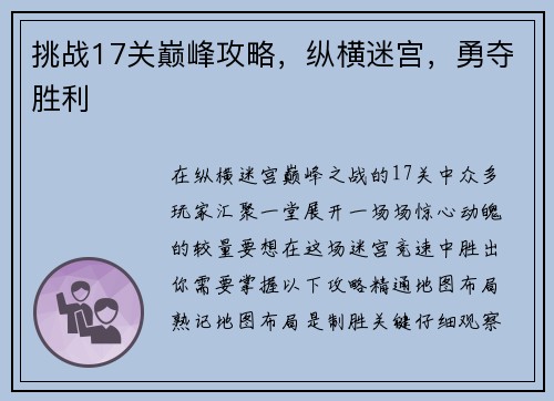 挑战17关巅峰攻略,纵横迷宫,勇夺胜利